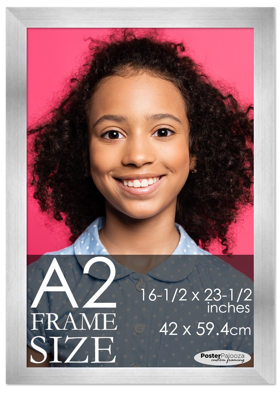 A2 Frame Silver Modern Minimalist 16.5x23.5 Frame - Wood A2 Picture Frame, UV Acrylic